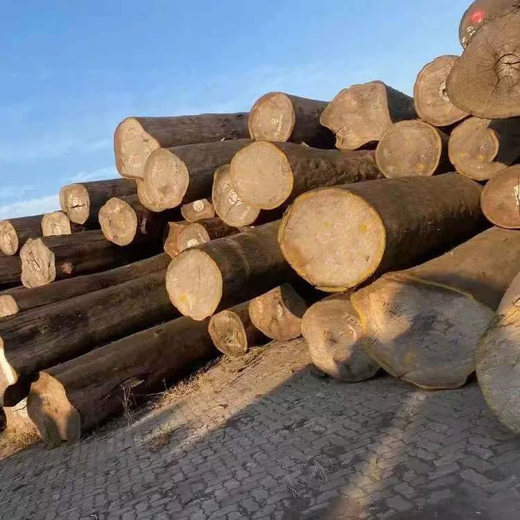 Billiard-cue-raw-material-maple